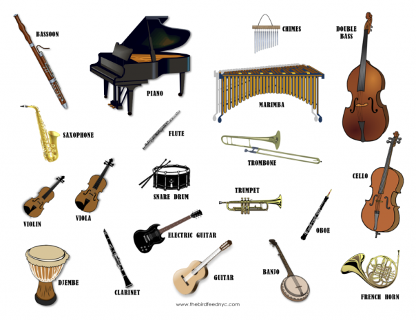 Musical-Instruments-The-Bird-Feed-1024x790